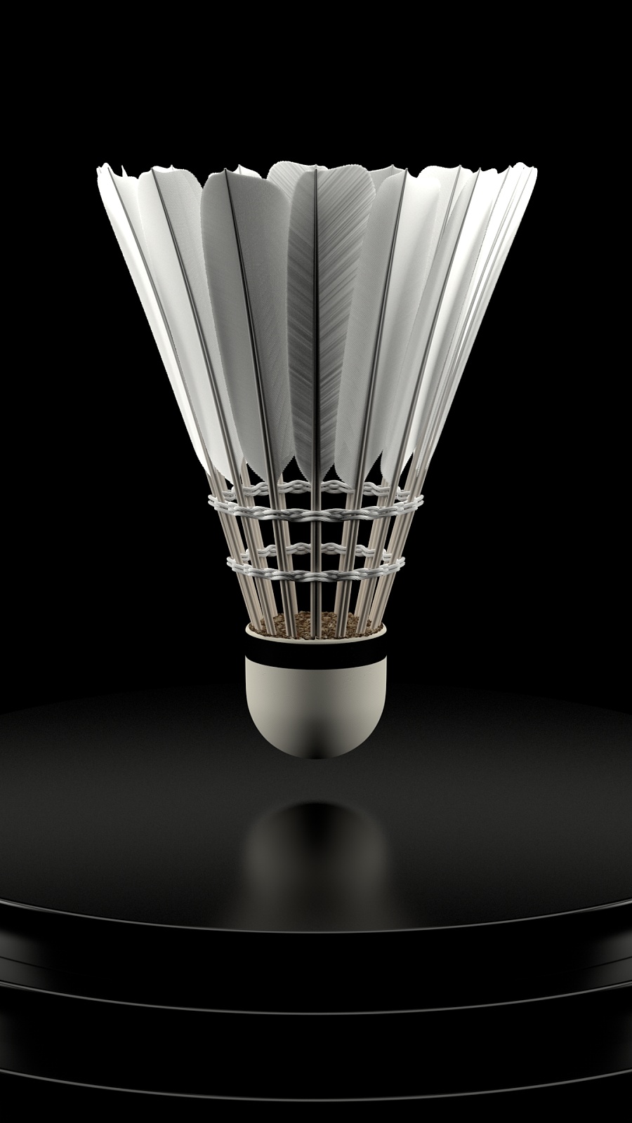 未来之星 未来之星