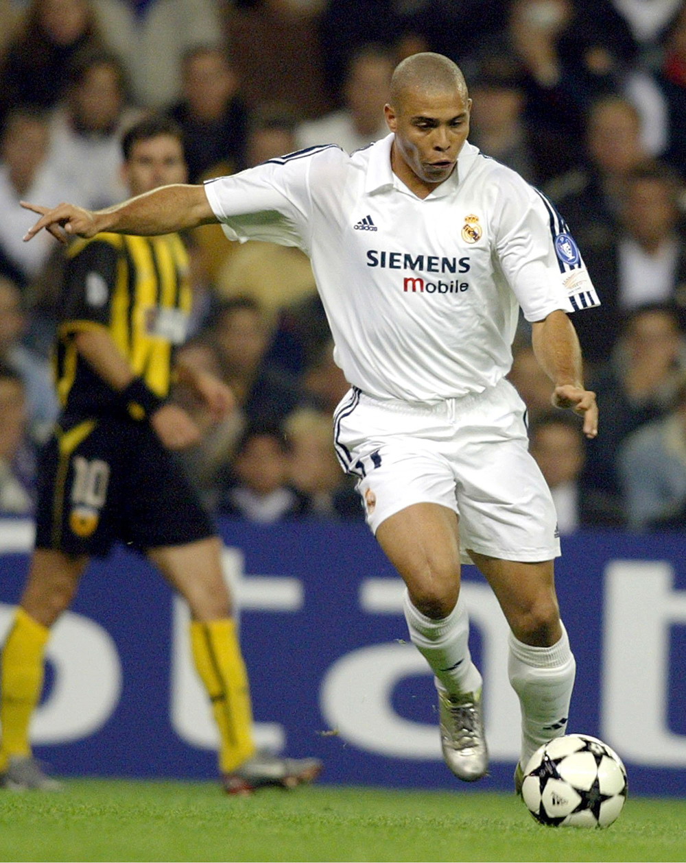 多米尼加 多米尼加